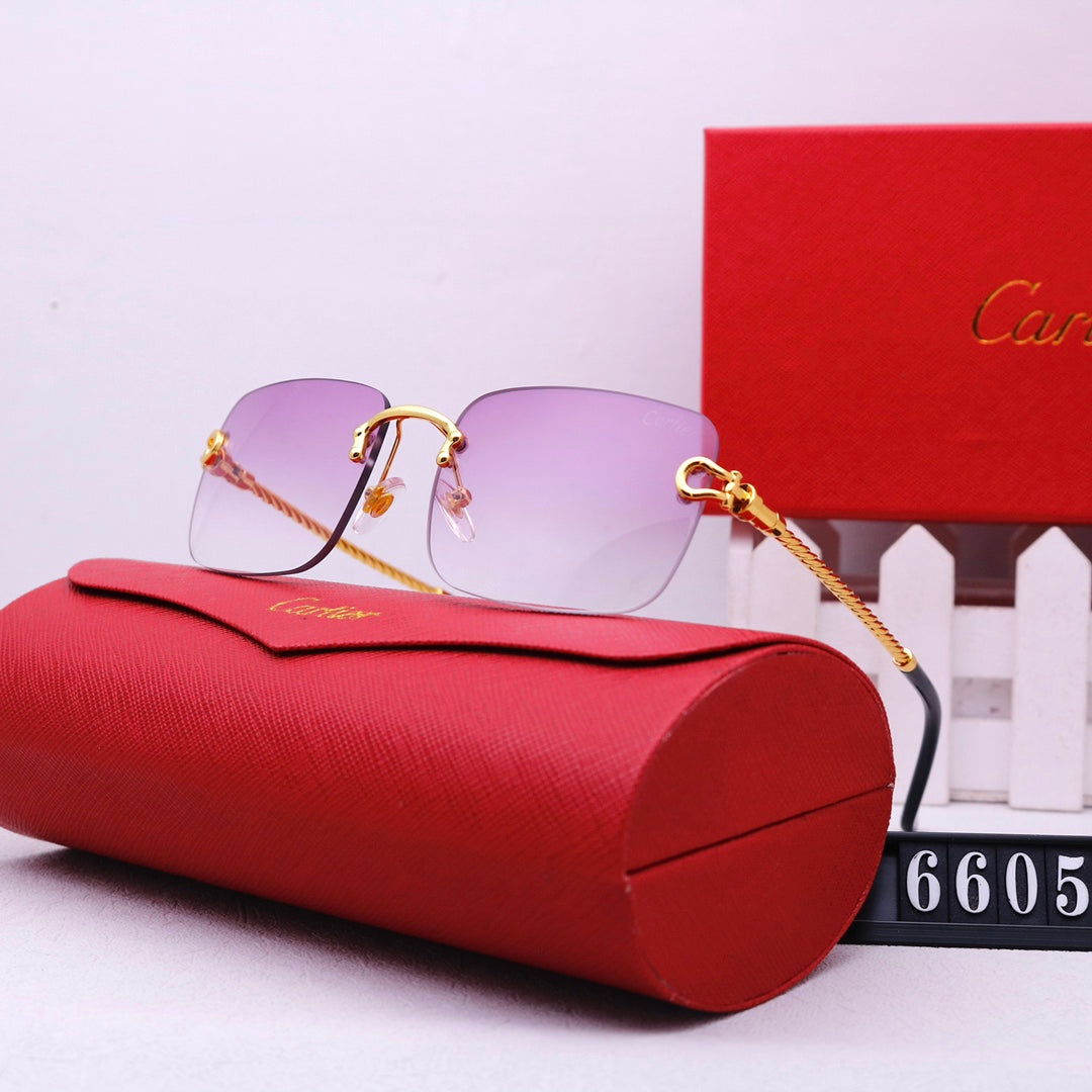 Fashion Sunglasses—6605