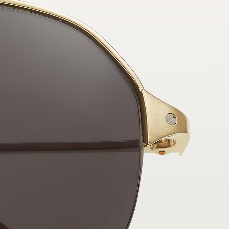 SANTOS DE ca SUNGLASSES