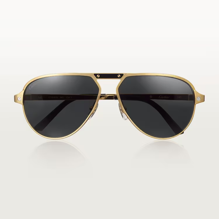 SANTOS DE ca SUNGLASSES