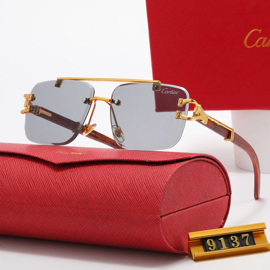 Cool Fashion SUNGLASSES 9137