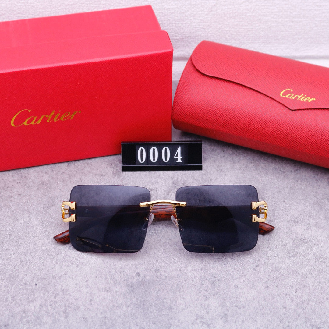 Fashion Sunglasses-CW-95800