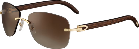 SIGNATURE C DE ca SUNGLASSES