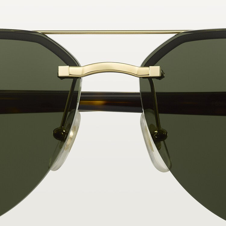 SIGNATURE C SUNGLASSES